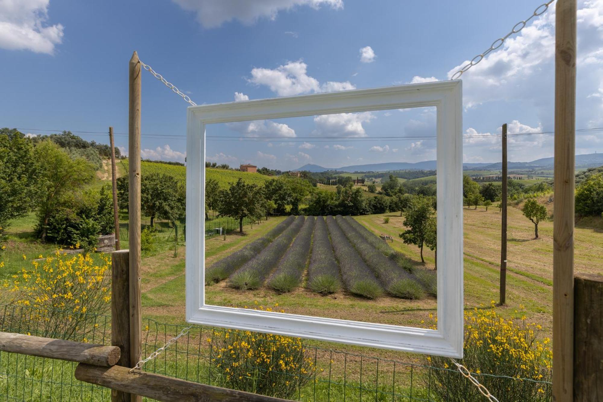 Agriturismo Metina Acquaviva  Extérieur photo